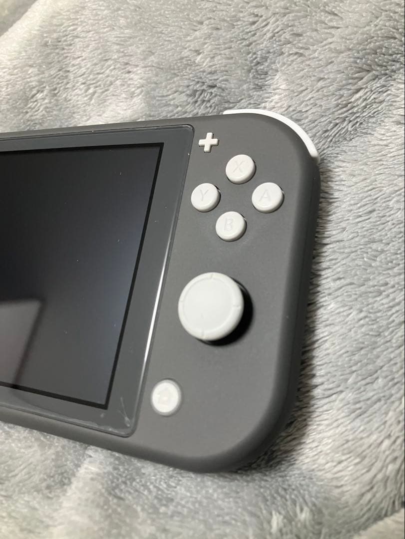 【美品】任天堂 Switch Lite 本体 グレー