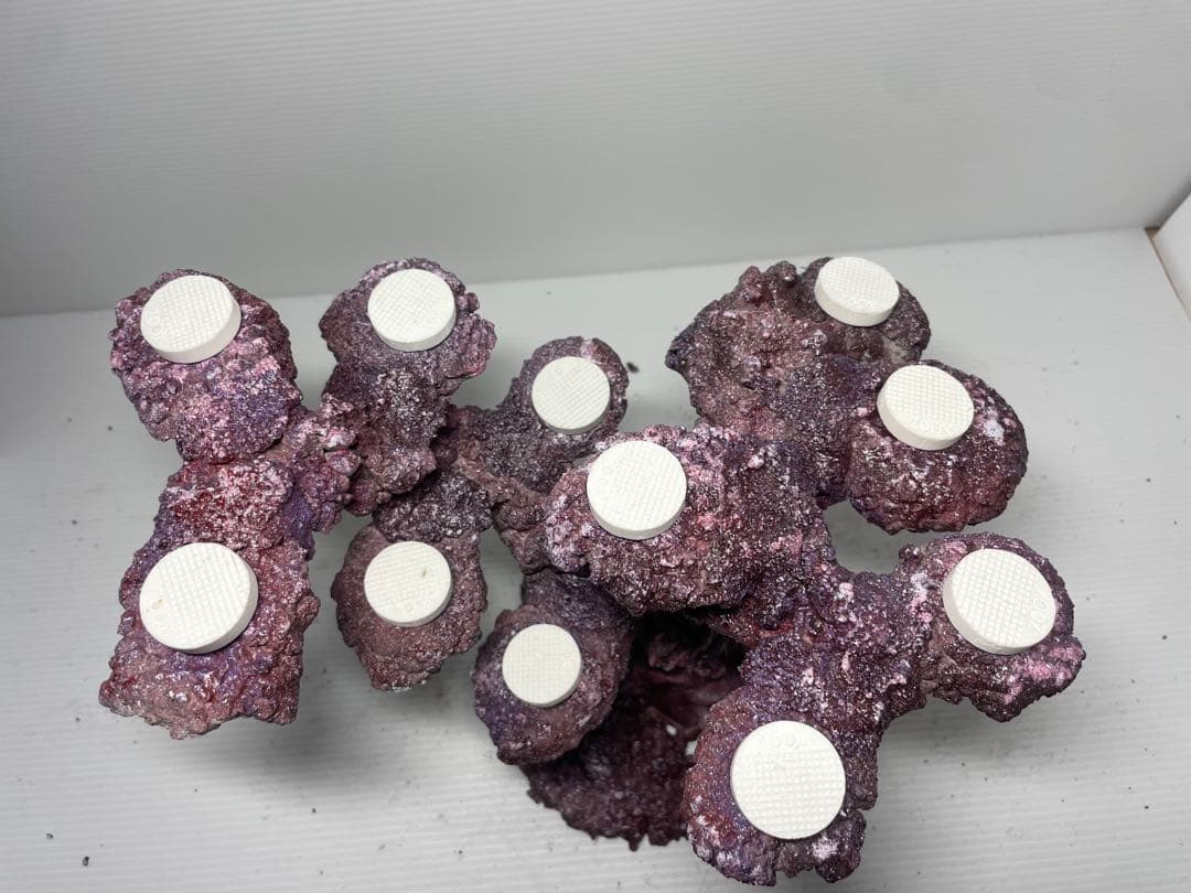 【送料無料】人工ライブロック　PHR30／11穴加工　アク抜き済み安心塗料使用