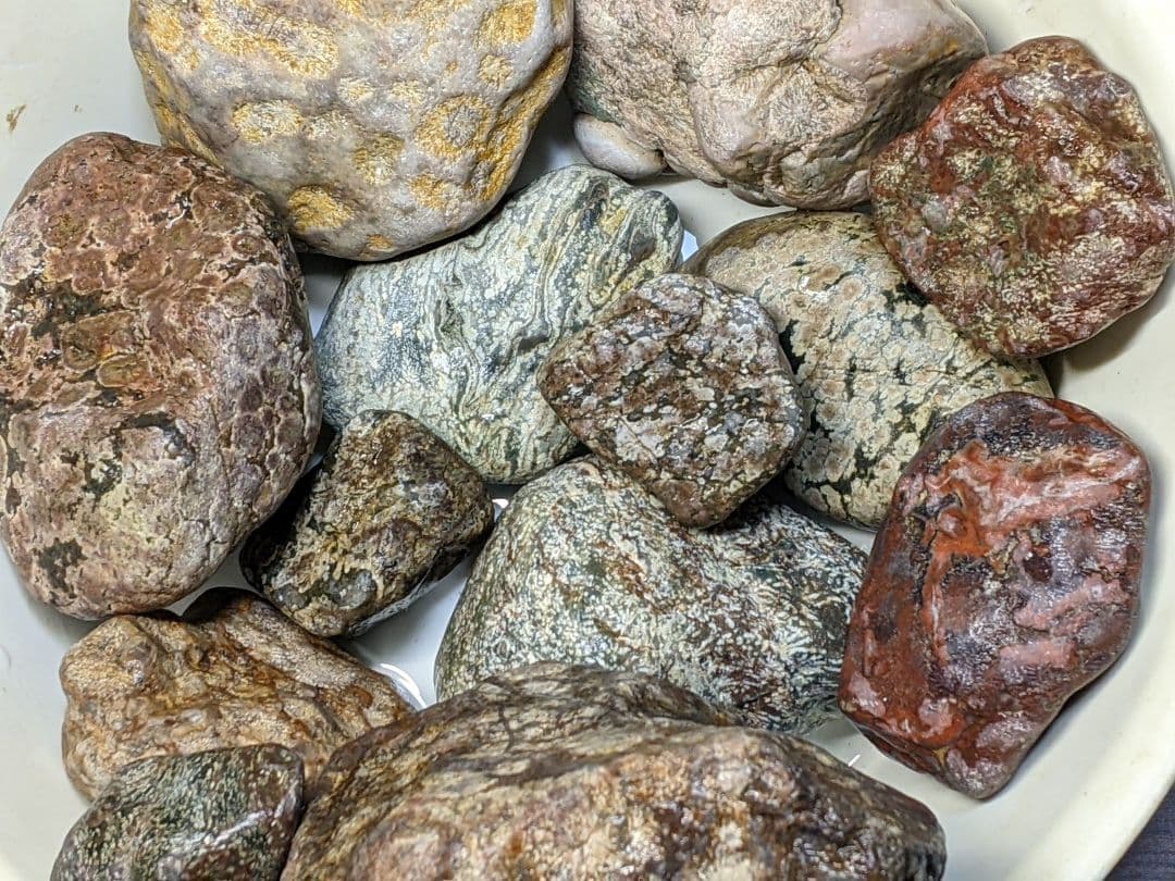 （269）越前海岸の紋石、美石たち③（参考）