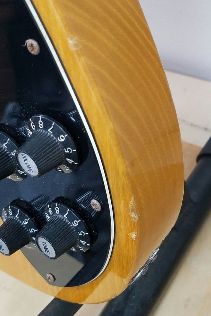 Brian by Bacchus テレキャスターカスタムタイプ エレキギター