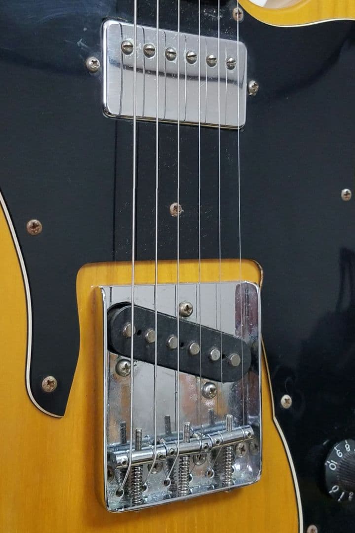 Brian by Bacchus テレキャスターカスタムタイプ エレキギター