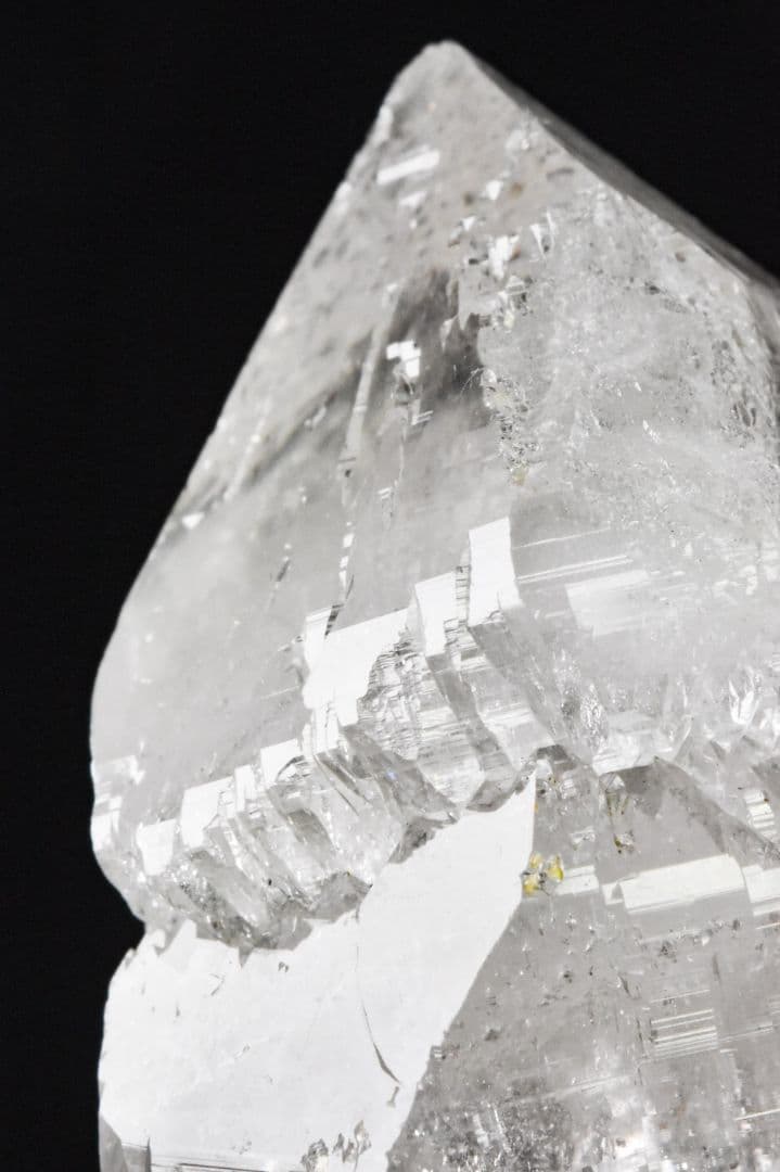 ガネーシュヒマール産 ２段再成長ポイント