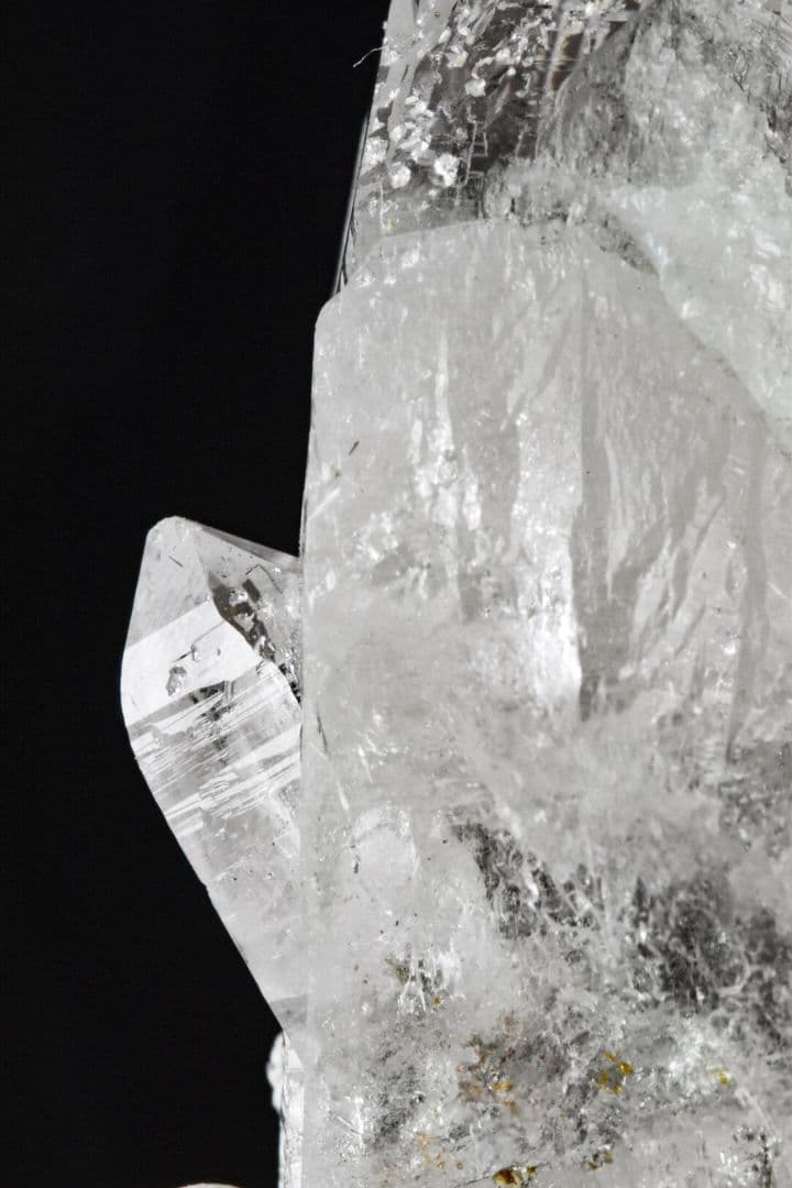 ガネーシュヒマール産 ２段再成長ポイント