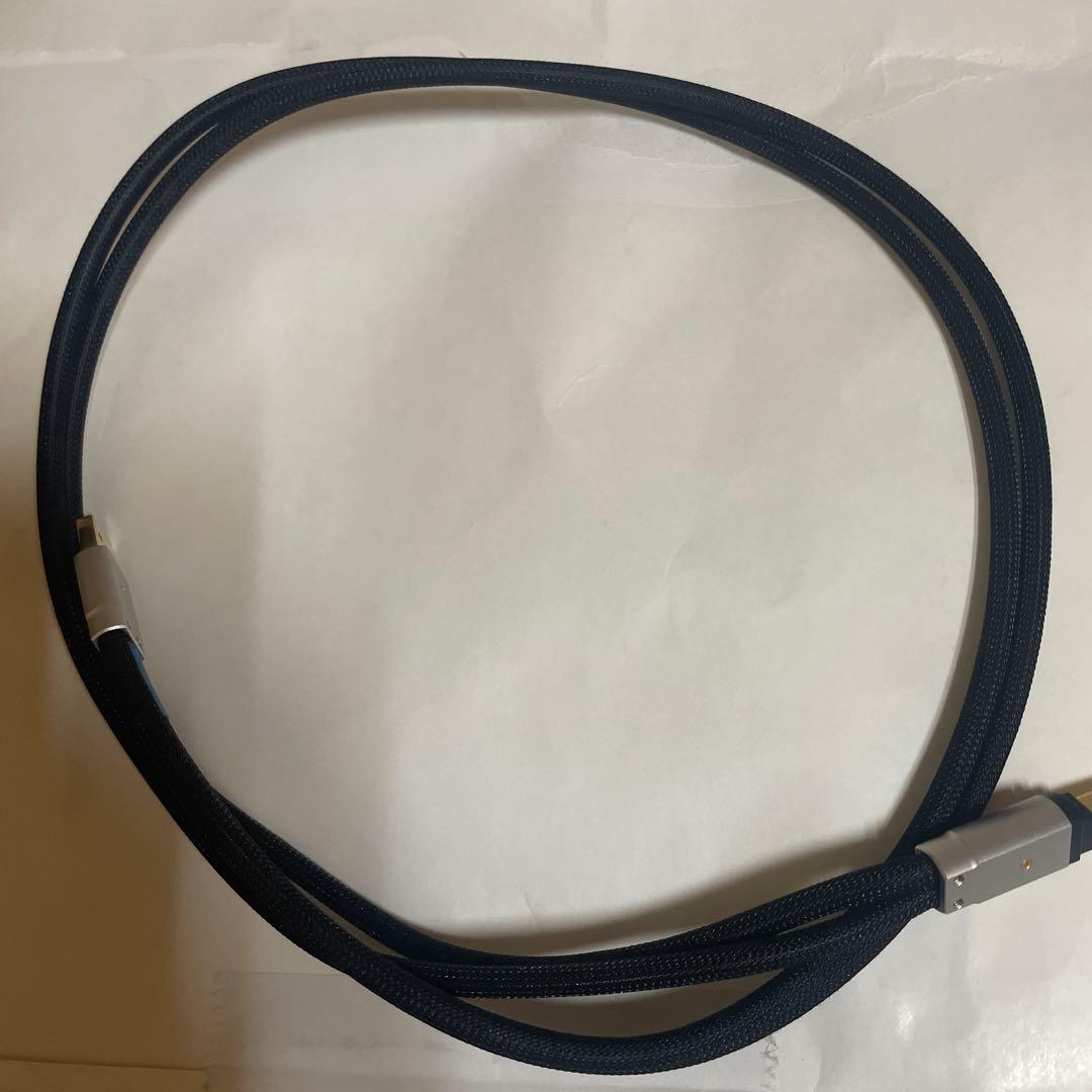 アコースティックリバイブ USB-1.0PLS1m中古日