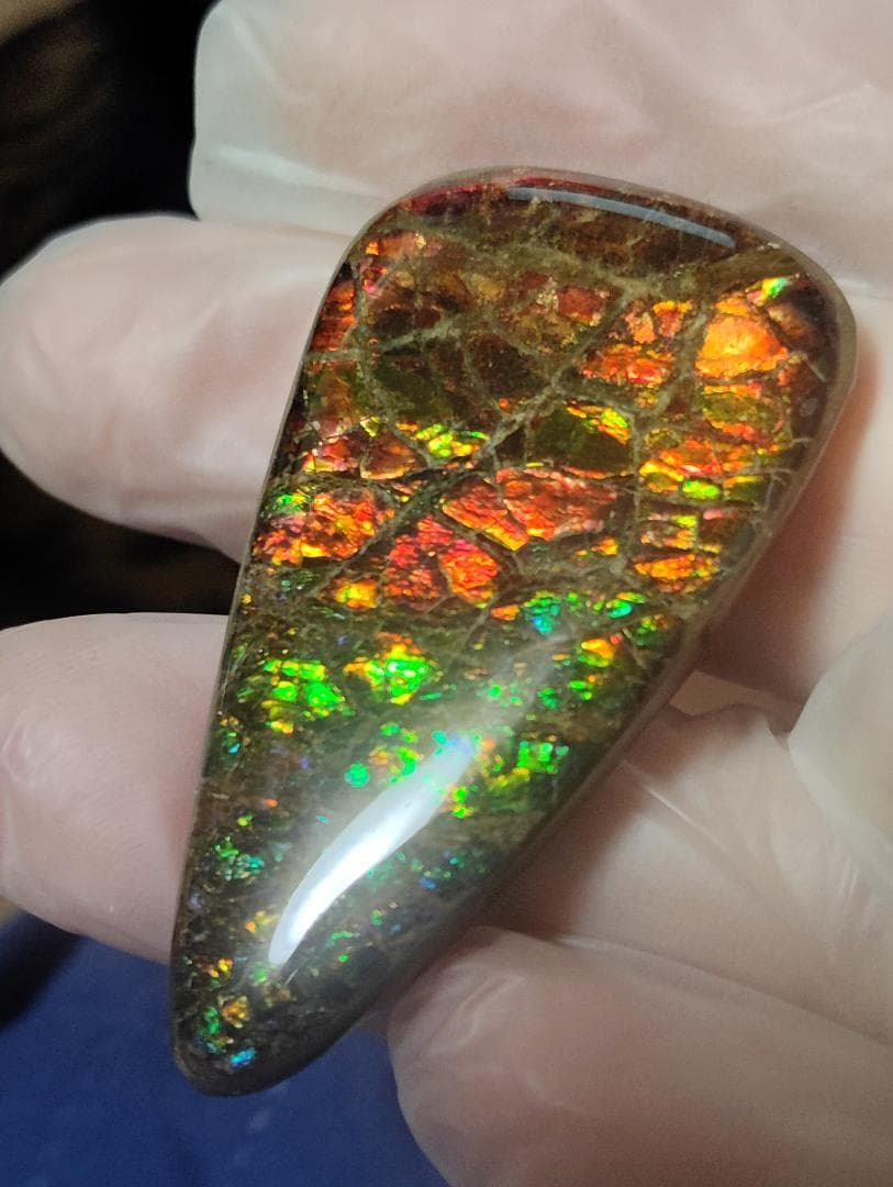 アンモライト・ルース　24-1411 45000