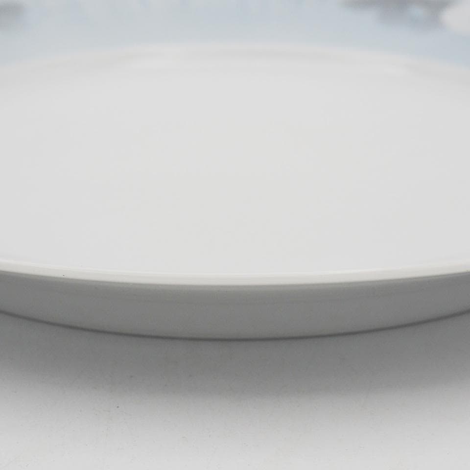 ロイヤルコペンハーゲン ミッドサマーナイトドリーム 25cmプレート ペア #3