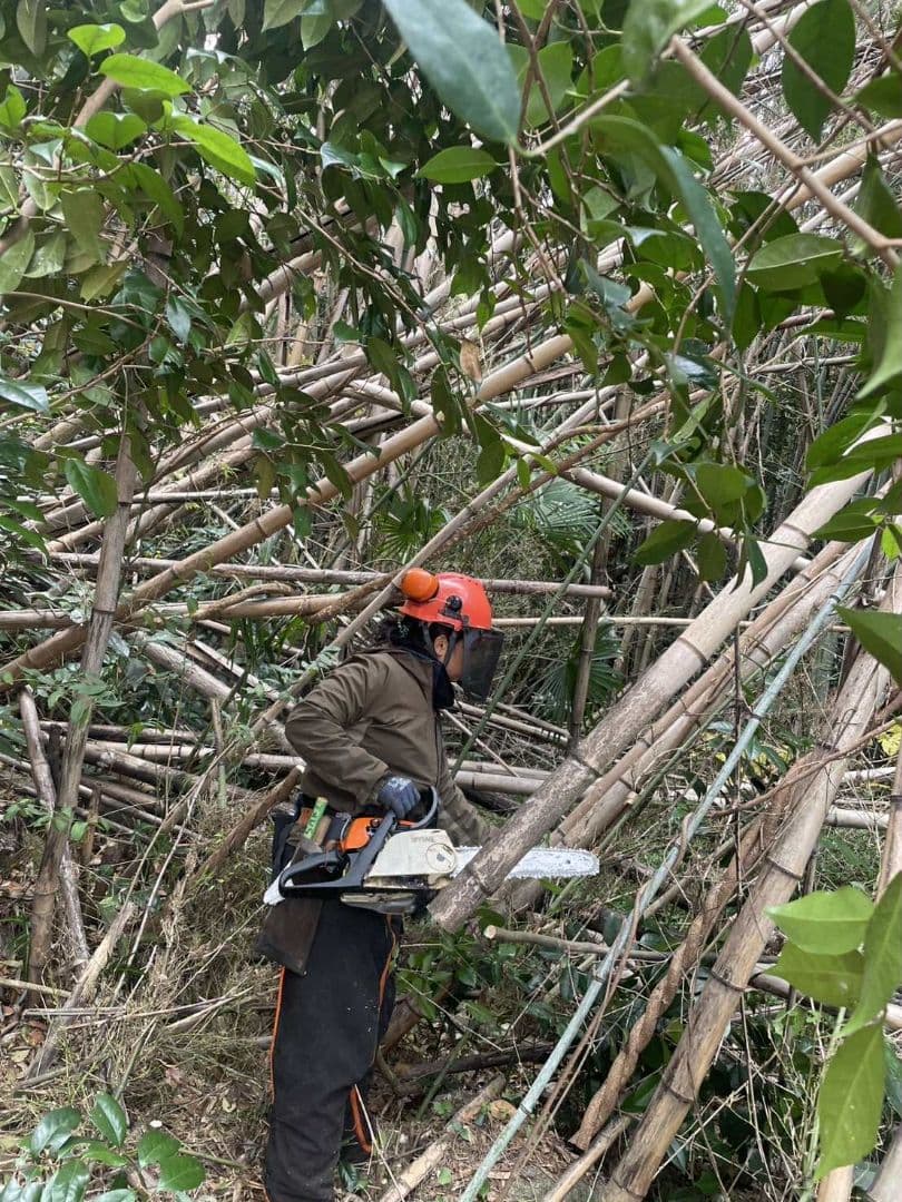 30kg米袋入り竹炭3袋(無選別)(約120リットル)　大阪産