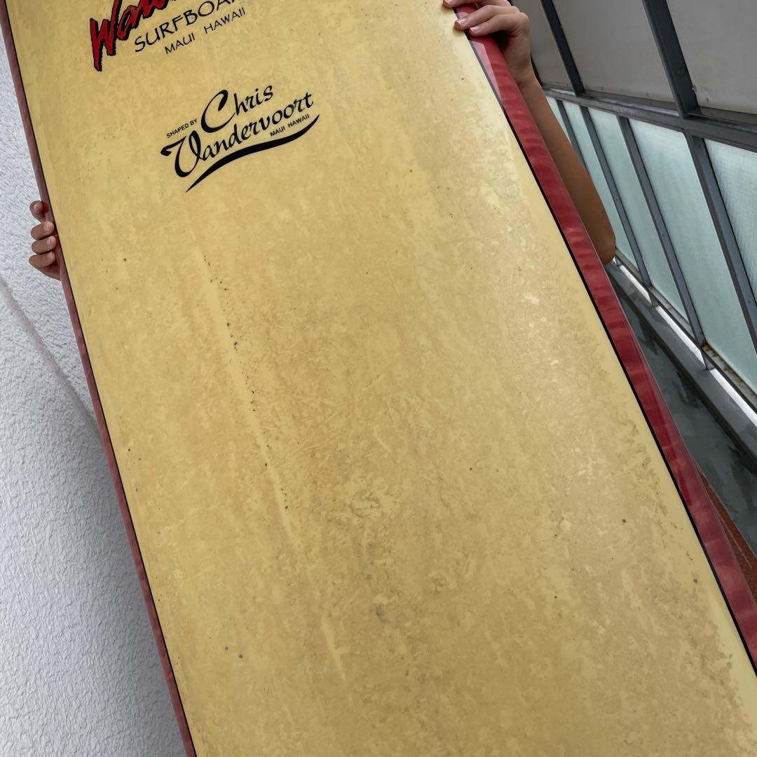 Wetah Man ロングボード Chris Vandervoort