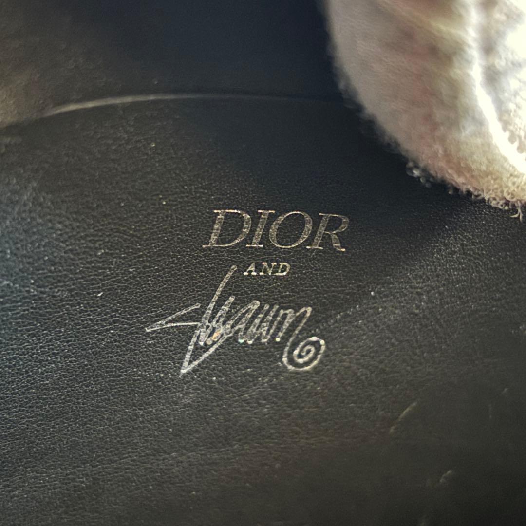 【即完売品】DIOR×Stussy SHAWN 2way ハンドバッグ 限定品