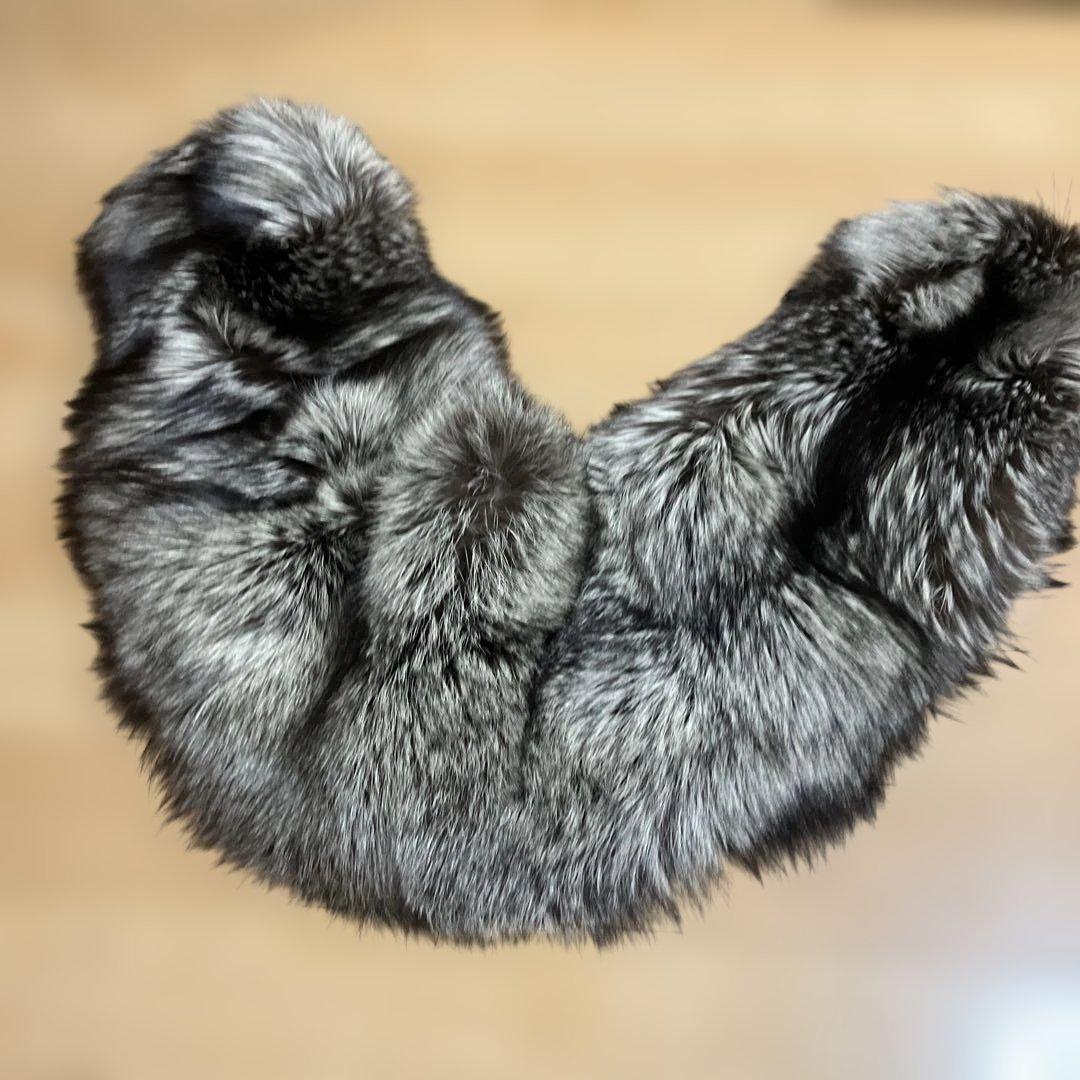 サガ　フォックス　