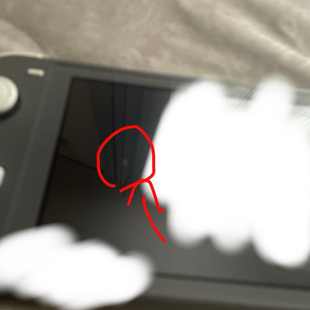 箱無し 傷ありNintendo Switch Lite 　グレー　動作確認済