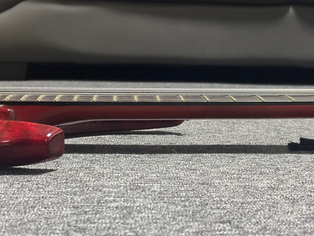 ESP Forest-STD ESP専用ソフトケース付き