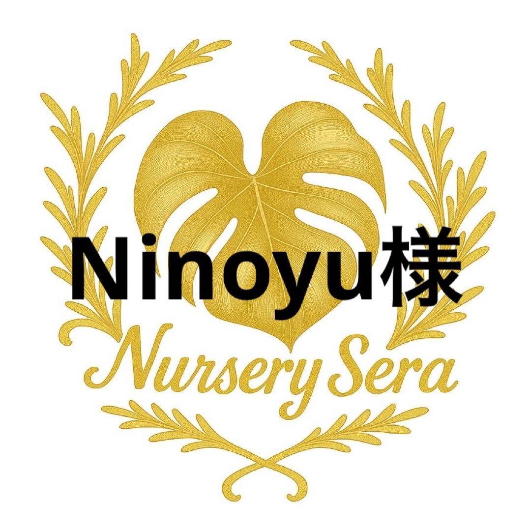 Ninoyu様