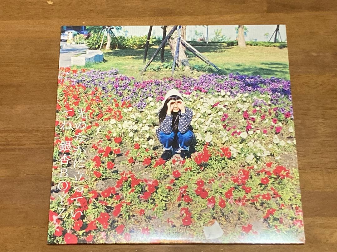 銀杏BOYZ 光のなかに立っていてね アナログ盤