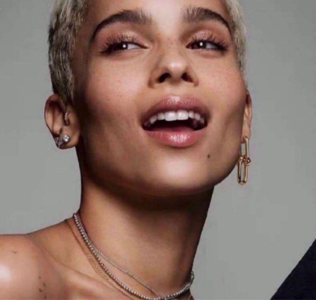 ✨ハイクオリティ✨ハードウェア　モデル　海外セレブ　ゴールド　ピアス　BIG！