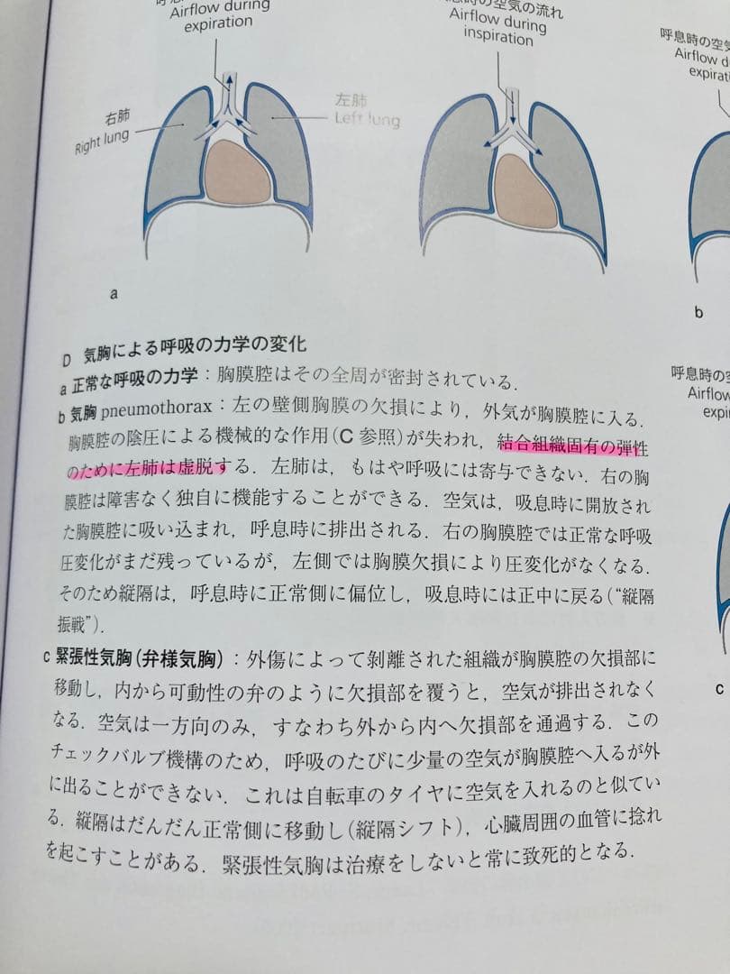 プロメテウス解剖学アトラス 第2版　3冊セット