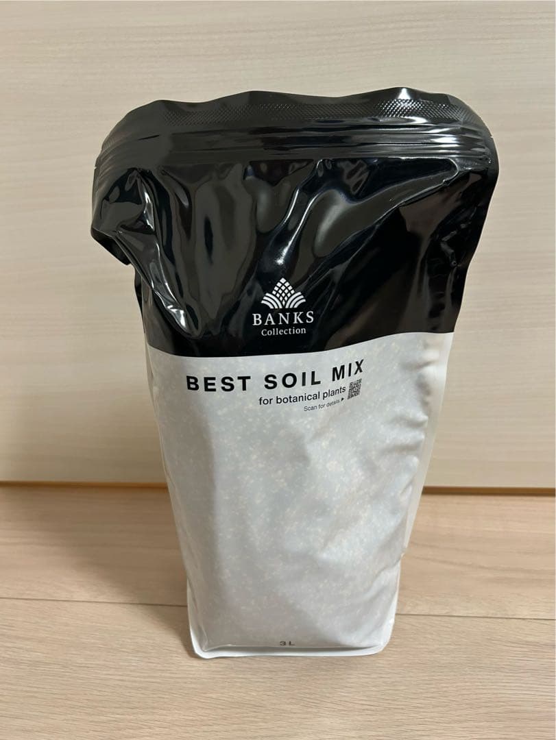 半額！　best soil mix ベストソイルミックス　バンクス　グラキリス