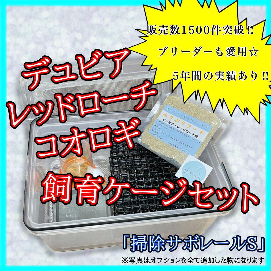 マゲフクロウ様　S (シェ)