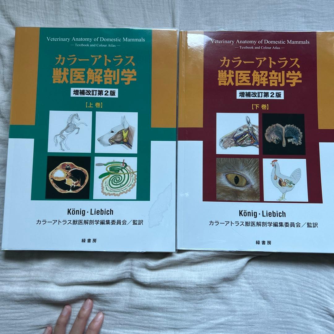 カラーアトラス獣医解剖学 増補改訂第2版 【上巻/下巻セット】