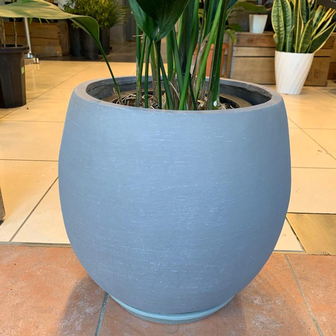 ハラン ファイバー鉢 お皿付き