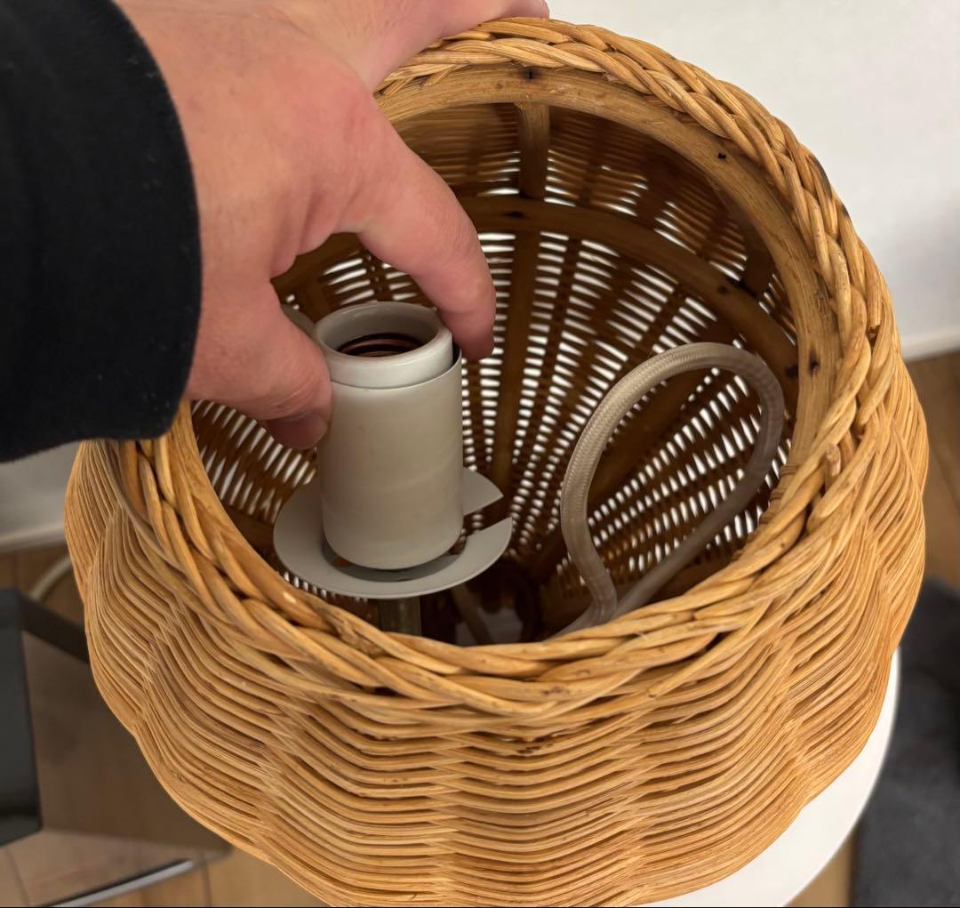 Landscape products 籐　照明