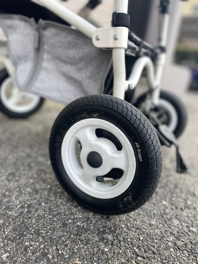 こ*ん様 エアバギーフォードッグ　DOME3 レギュラー