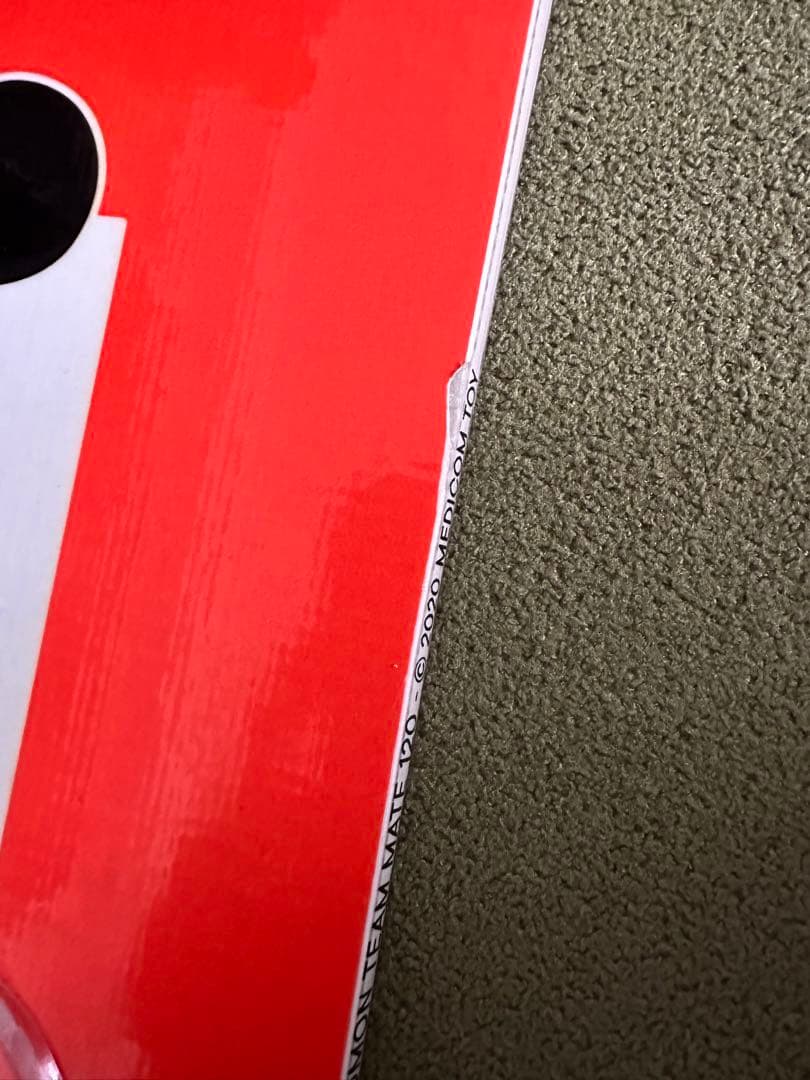 みのり。サロモン term 120 ソールカバー付き