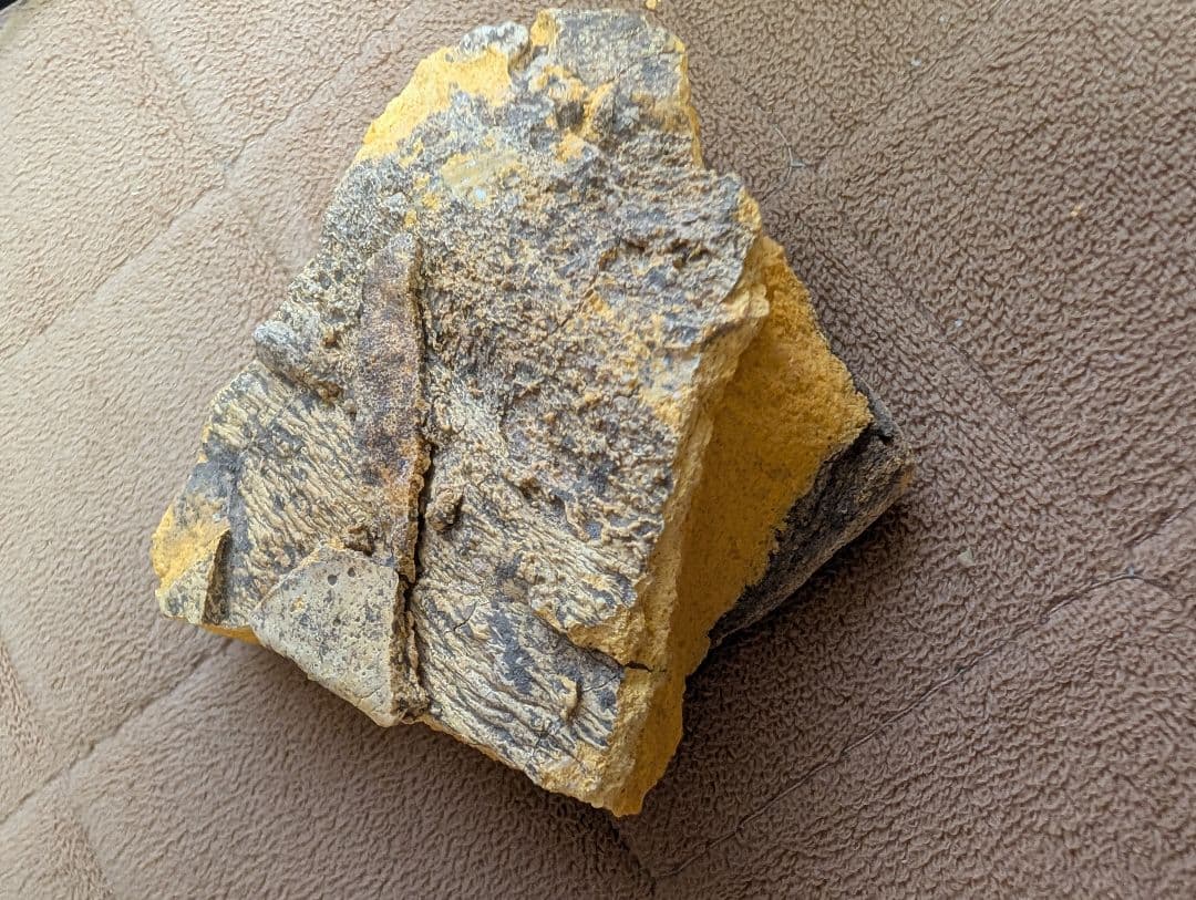 黄色と灰色の不規則な石