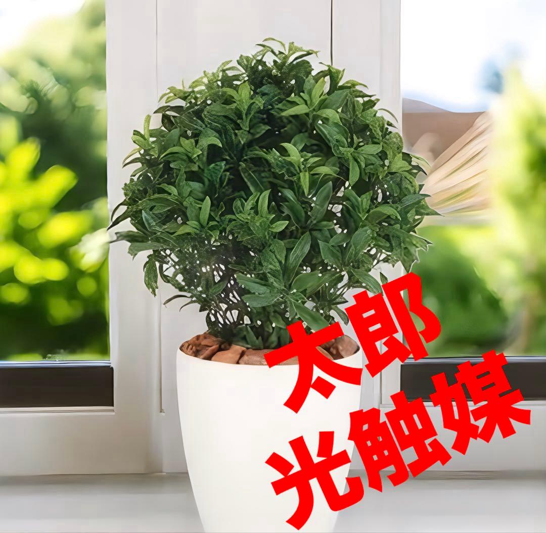 光触媒　人工観葉植物　ウォールグリーン　フェイクグリーン　ベイリーフ