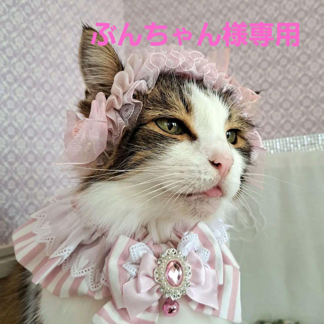 ぶんちゃん、ハロウィン仮装♥️ベッドドレス、わんちゃん猫ちゃん用