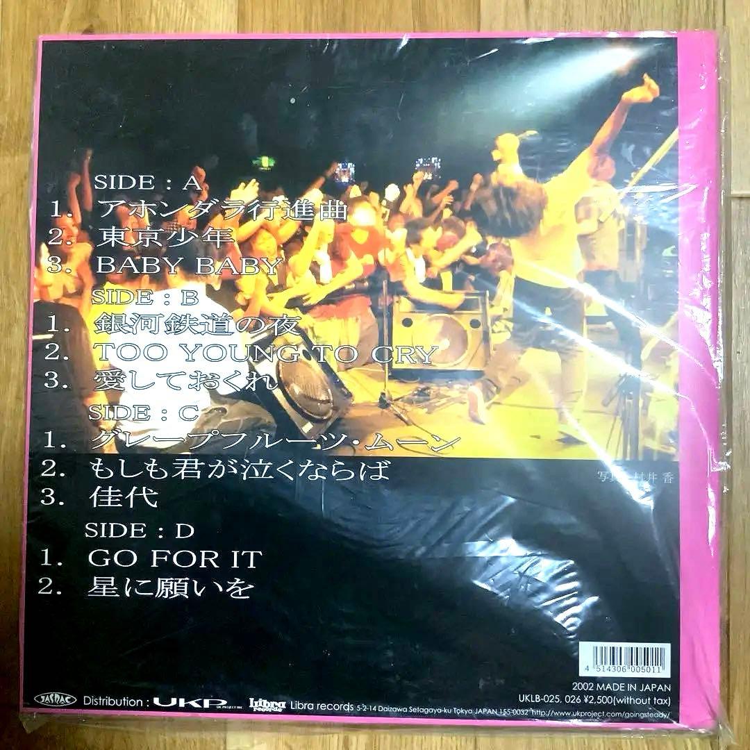 さくらの唄　レコード　ゴーイングステディ　銀杏BOYZ