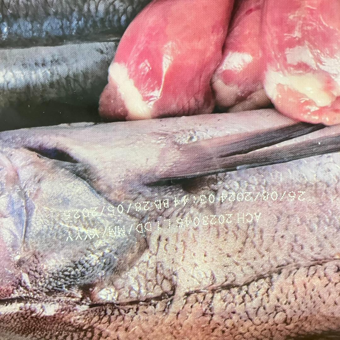 オリジン ◎ シニア 11.4kg