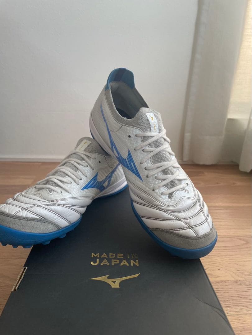 モレリアネオサラβ