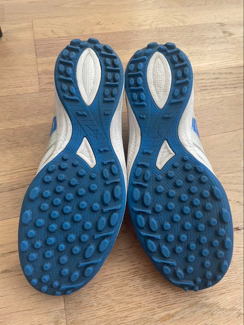 モレリアネオサラβ