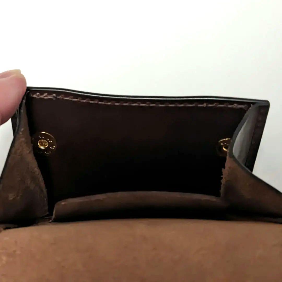 ワイルドスワンズ タング クラシック / サドルプルアップ チョコ