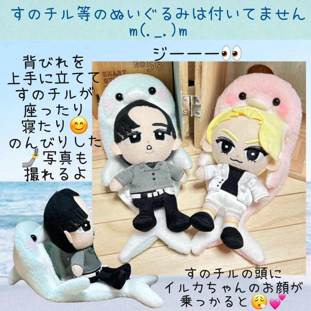 すのチル　服　小物　海のイルカちゃんコスと雪鳥サブレーSET オーダーページ