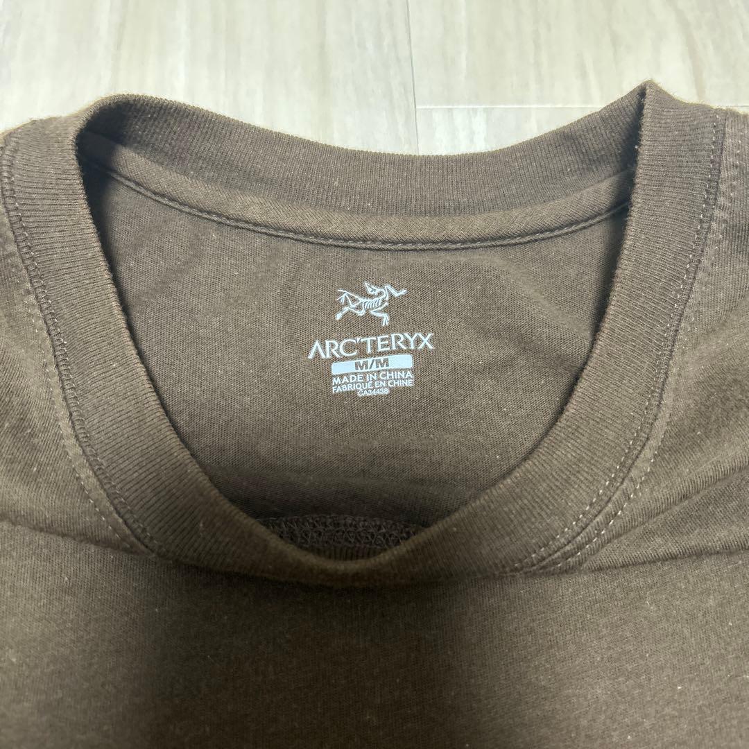 00s アークテリクス ARC'TERYX Tシャツ Mサイズ サンウエスト