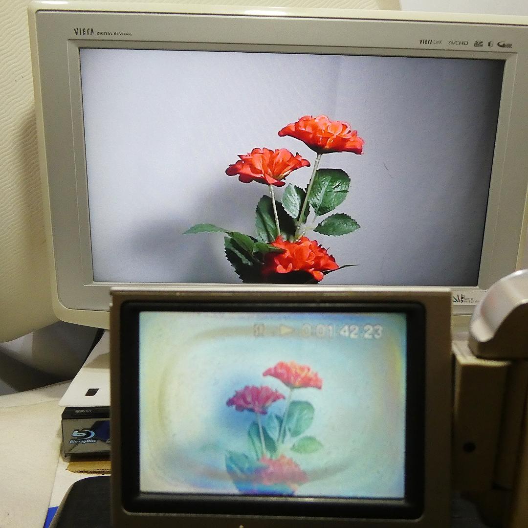 動作品 ソニー DCR-TRV10 MiniDVビデオカメラ　DVD化に最適