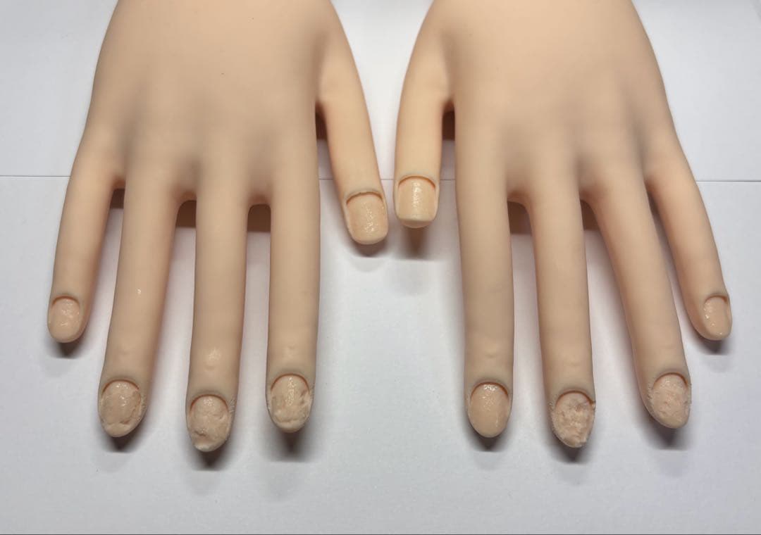 ネイリスト技能検定試験用　JNEC認定モデルハンド