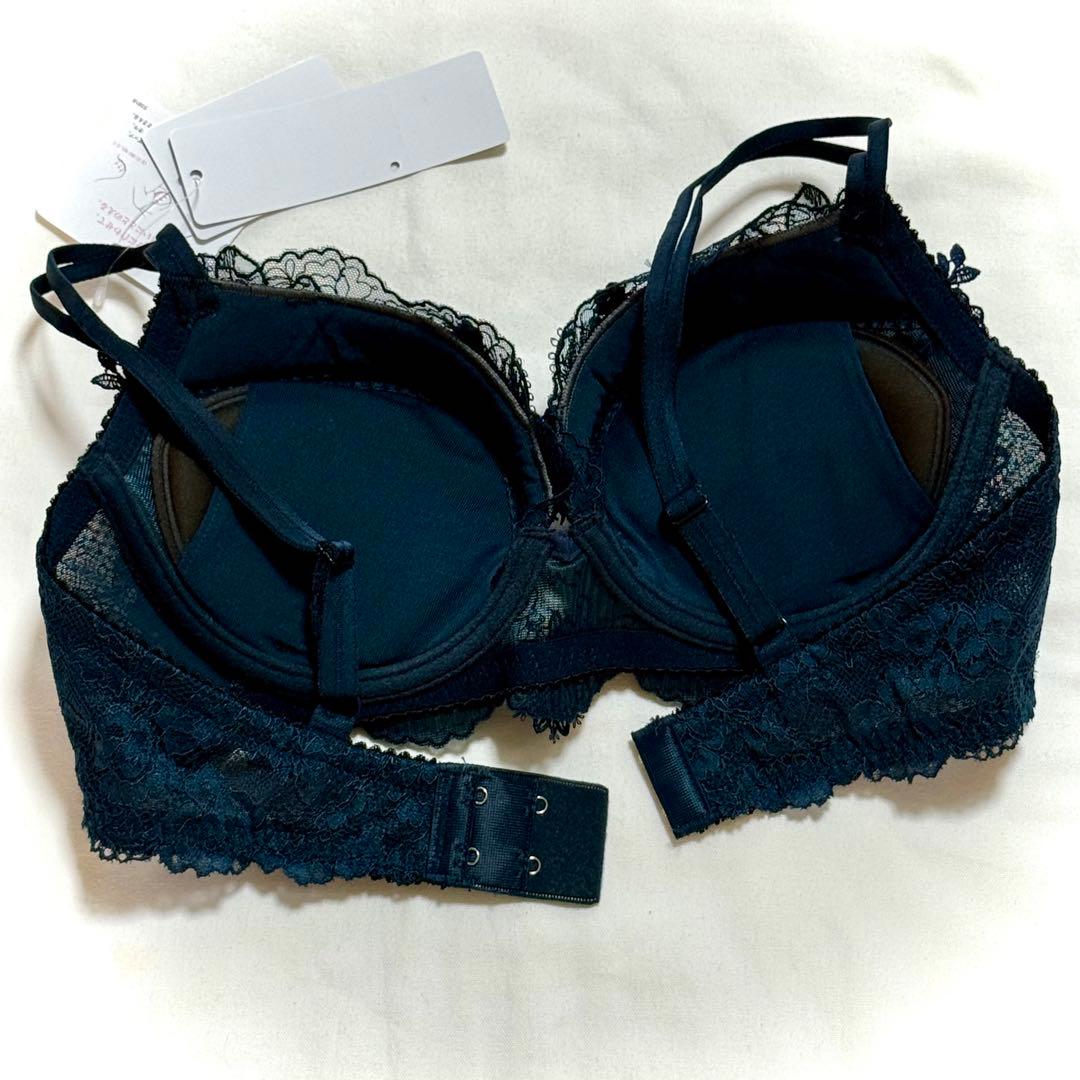 ワコール　パルファージュ パーソナルフィットプラスブラ D70M.