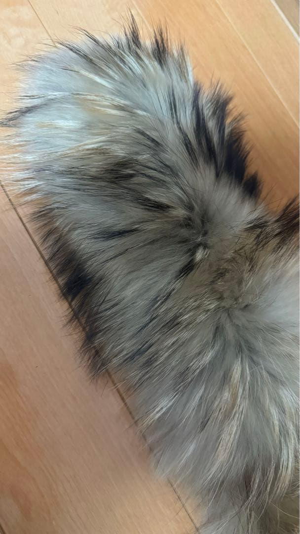 超お得‼️ MONCER ブラックファーダウンベスト ［ファー付き］