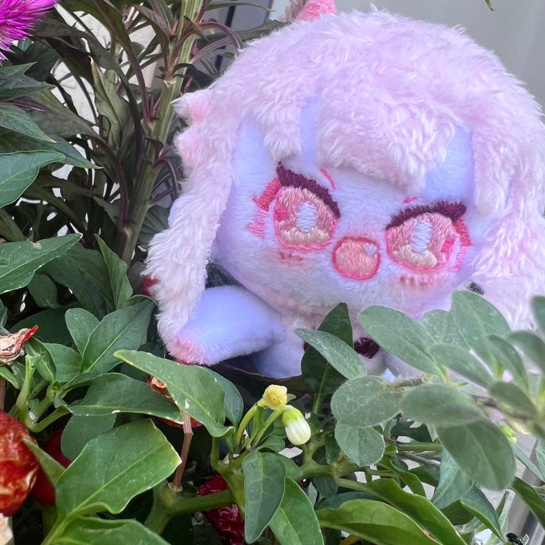 H*o様 自作ぬいぐるみ 無属性 ピンクでびゆ