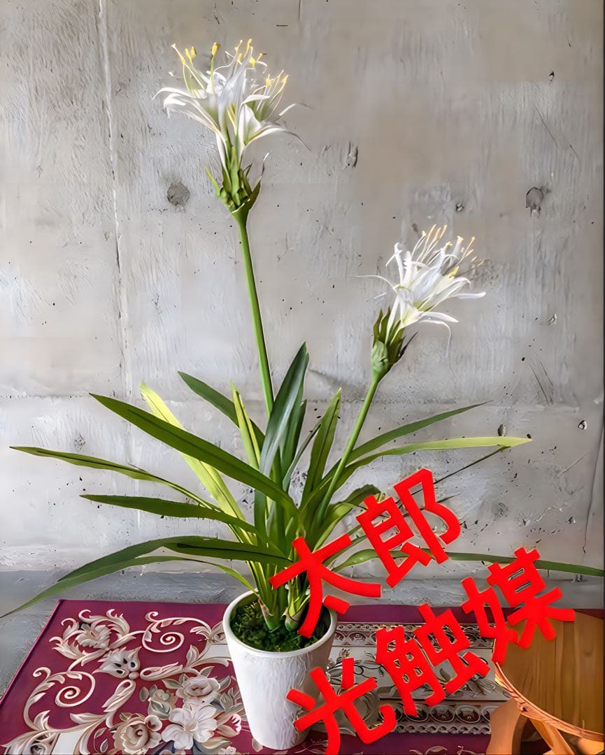 光触媒　人工観葉植物　ウォールグリーン　フェイクグリーン　ドラセナユッカ花付き