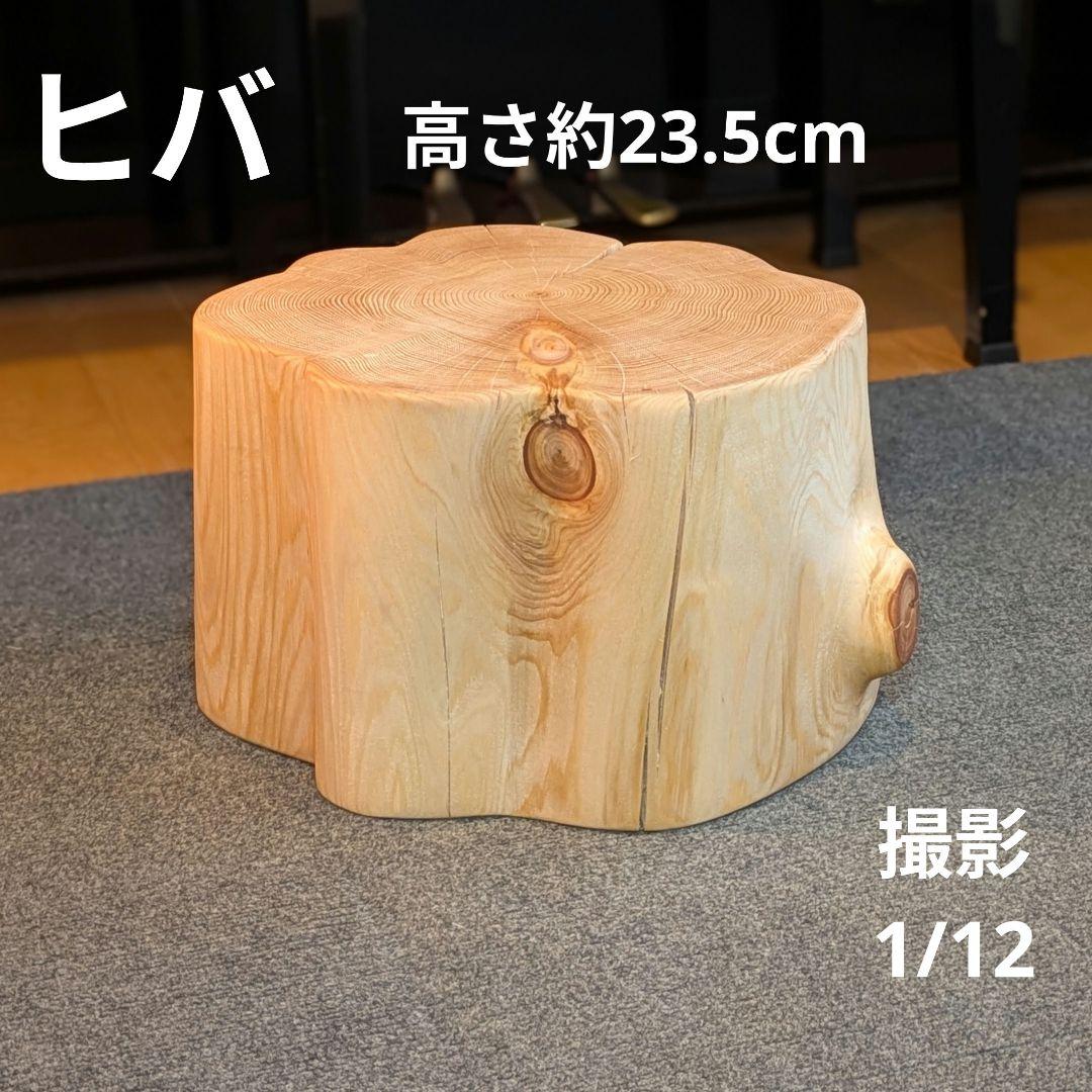 天然ヒバ　切り株　丸太　椅子　スツール　高さ約23.5cm
