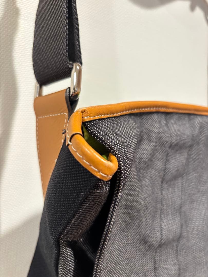 【美品】ロエベ　メッセンジャーバッグ　アイ　ネイチャー　デニム　アナグラム