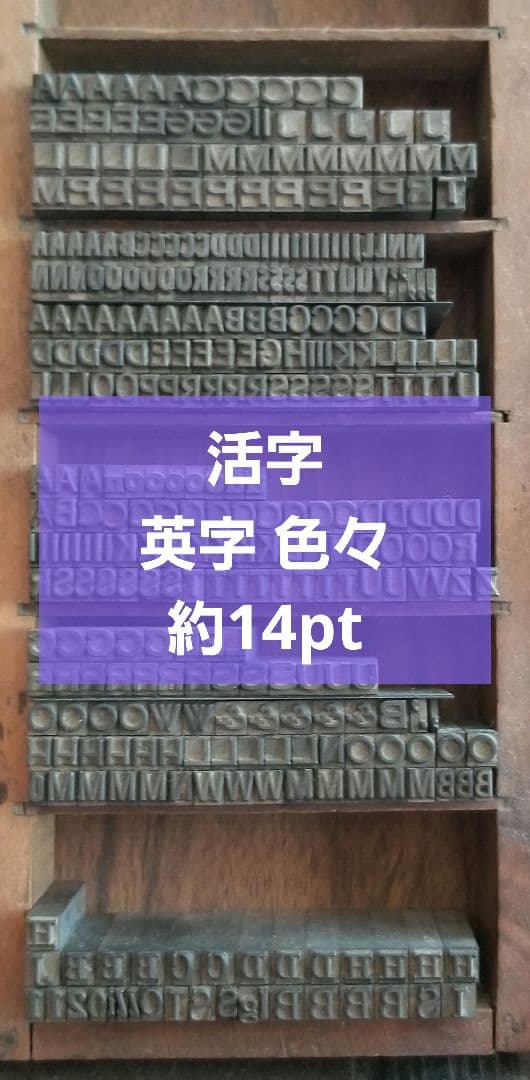 【約14pt 8種類以上】活字 アルファベット 不揃い ゴシック体系 明朝体系