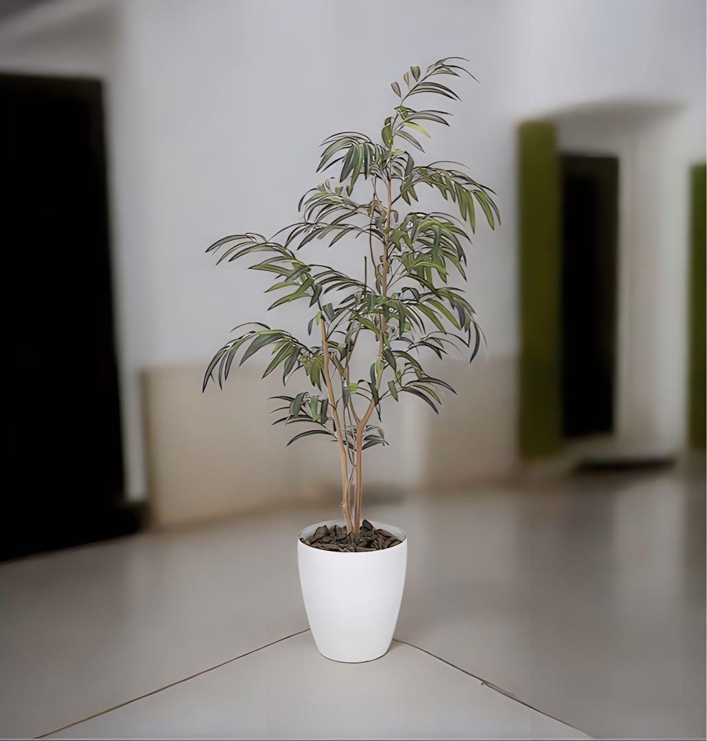 光触媒　人工観葉植物　ウォールグリーン　フェイクグリーン　ショウナンゴム