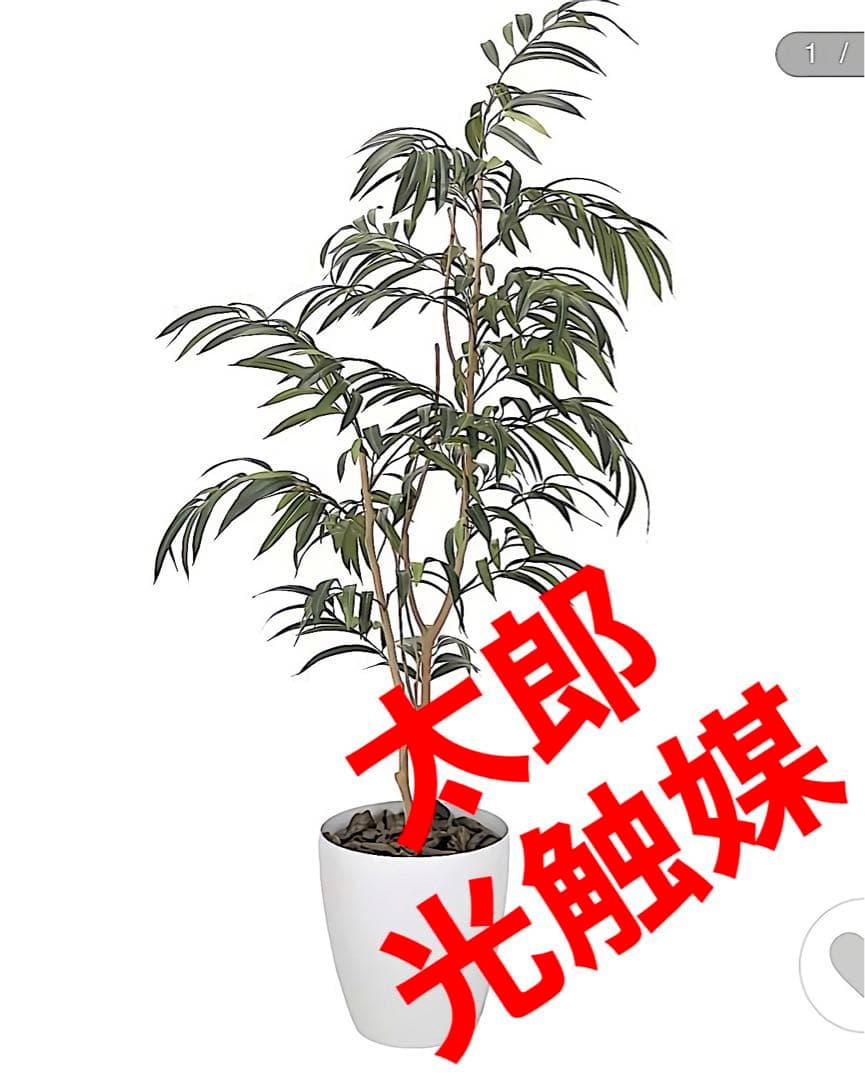 光触媒　人工観葉植物　ウォールグリーン　フェイクグリーン　ショウナンゴム