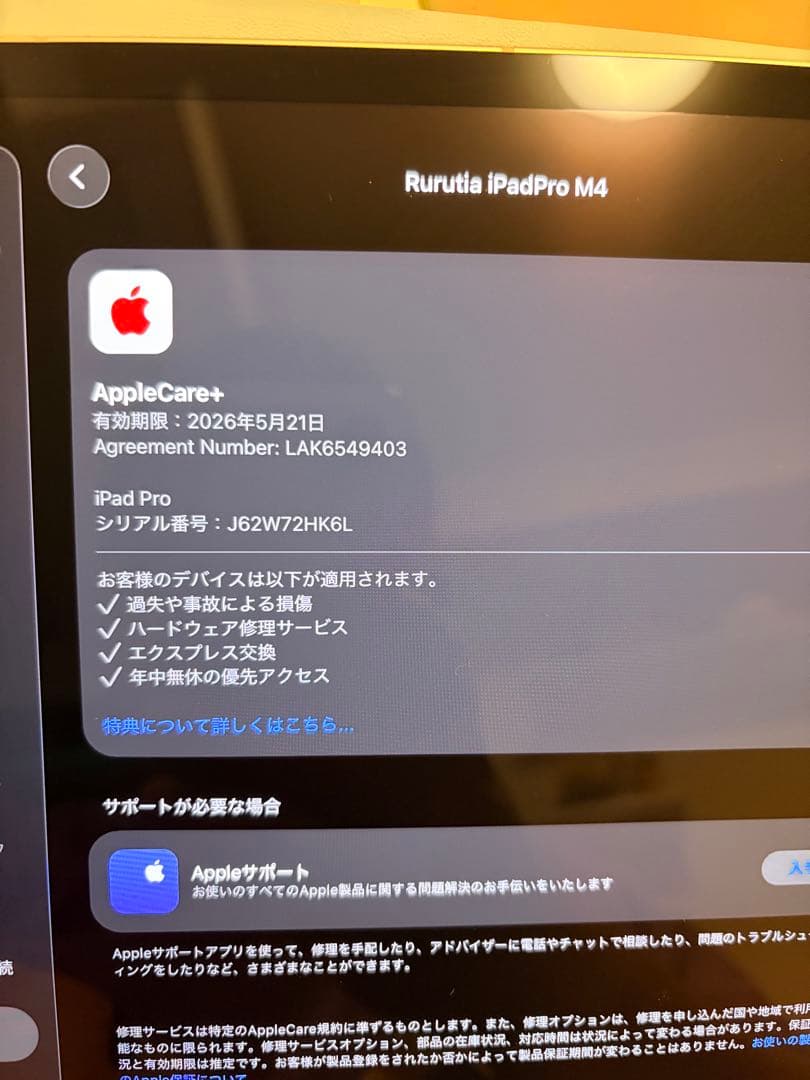 iPad Pro M4 13インチCellular 2TB applecare+