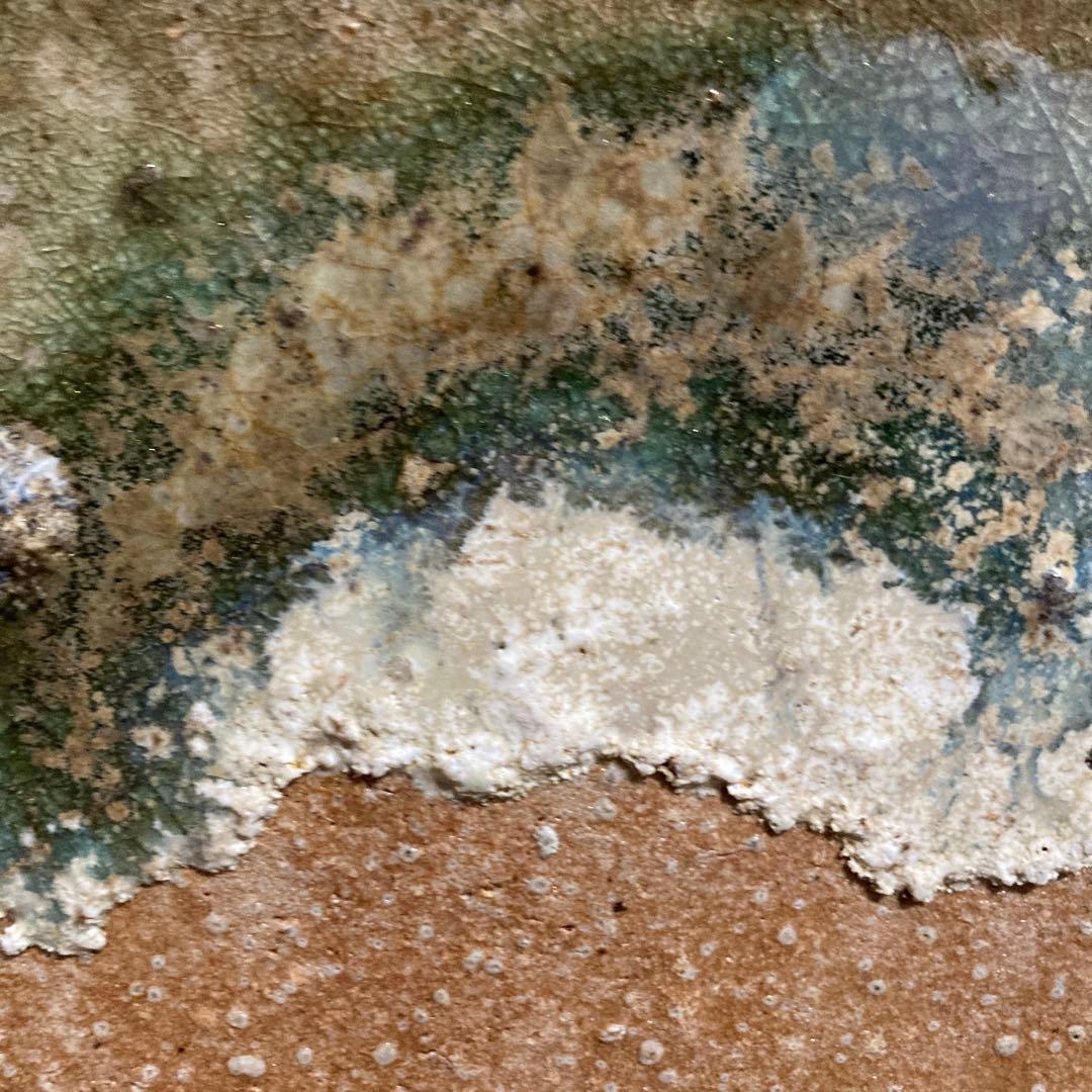 大皿　杉本　貞光